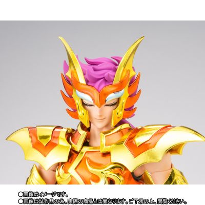 圣闘士圣衣神话EX  斯库拉伊奥