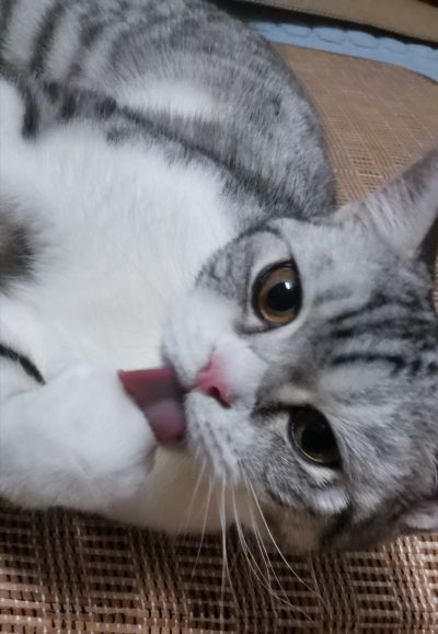 OVERLORD 娜贝拉尔・迦玛 so-bin版