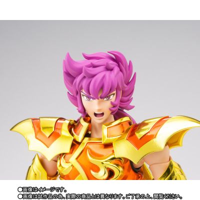 圣闘士圣衣神话EX  斯库拉伊奥