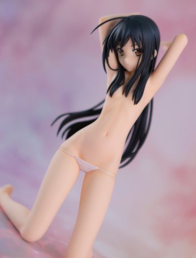 加速世界 黑雪姬 -Death by Embracing-