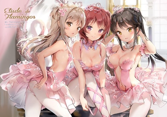 火烈鸟芭蕾舞团 马尾辫女孩