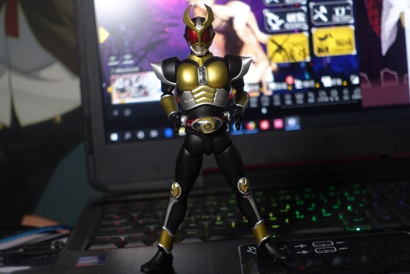 S.H.Figuarts（真骨雕制法） 假面骑士亚极陀 假面骑士亚极陀 大地形态