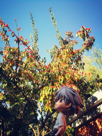 Q Posket 福音战士新剧场版 渚薰 Special Color ver. 