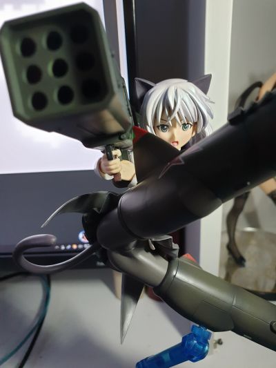 桑妮亚‧V‧利特维亚克