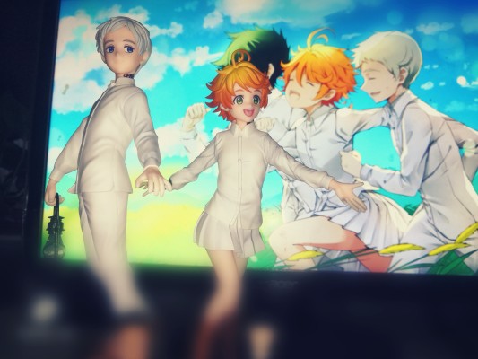 约定的梦幻岛 诺曼