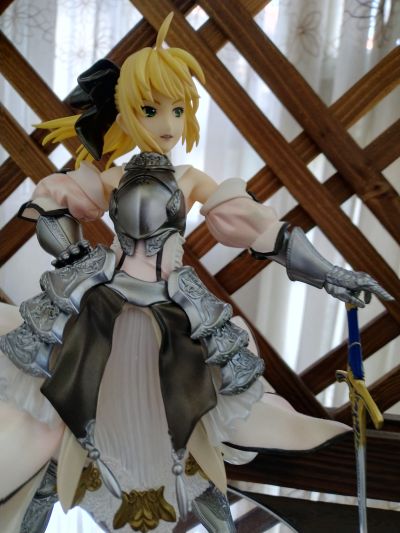 Fate/unlimited codes Saber・Lily