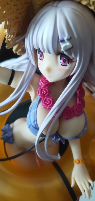 碧蓝航线 小天鹅