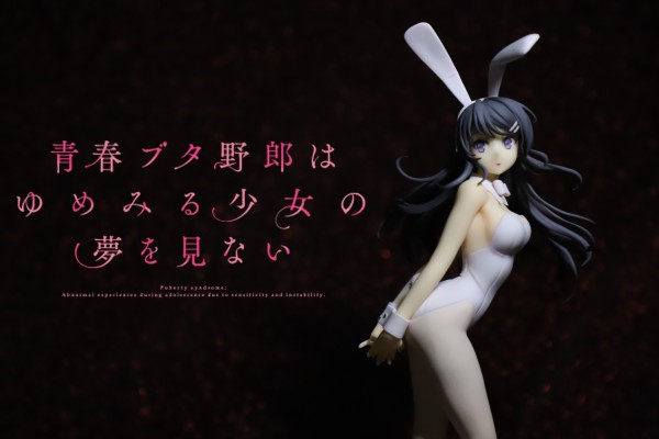 青春期笨蛋不做兔女郎学姐的梦 樱岛麻衣 白色兔女郎