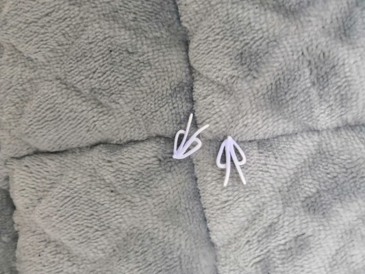 Rance X -决战- 上杉谦信