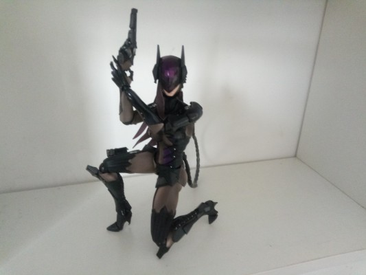 Playarts改 VARIVANT 猫女