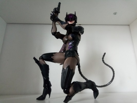 Playarts改 VARIVANT 猫女