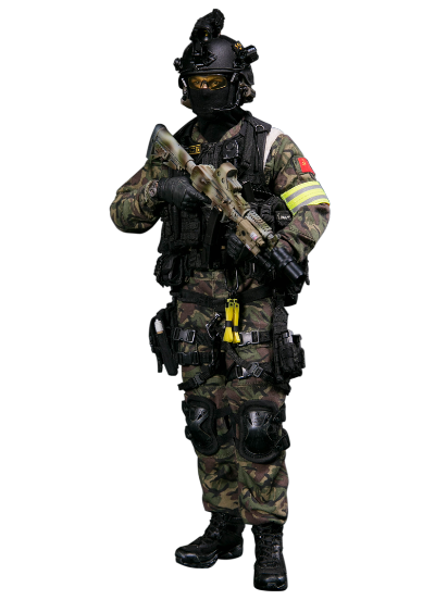 DAMTOYS 78071F 俄罗斯联邦安全局 阿尔法小组 圣彼得堡 BBICN联名版