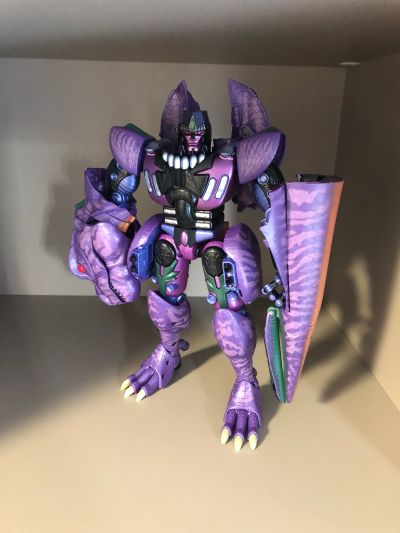 IS〈无限斯特托拉斯〉 夏洛特・迪诺亚