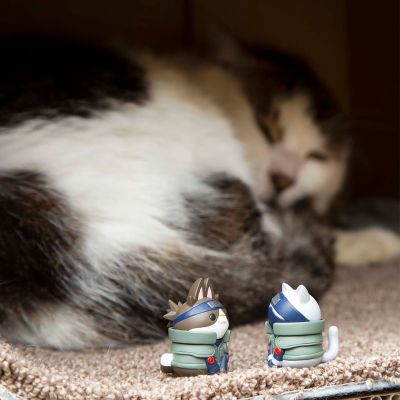 火影忍喵！ 火影忍者 疾风传 木叶快乐的猫咪们篇