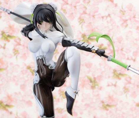 Fate/Grand Order 秦良玉