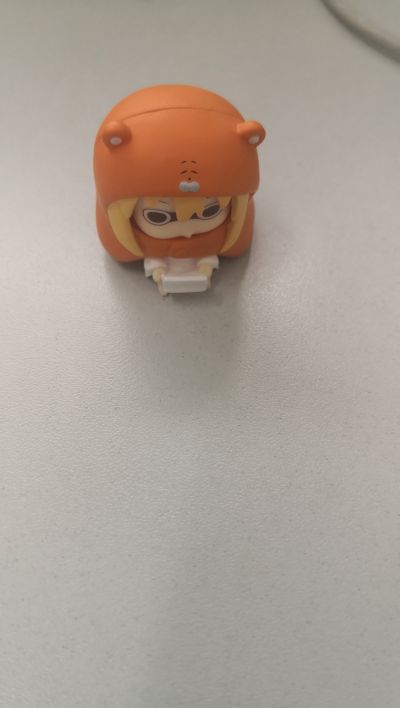 干物妹！小埋 盒蛋之2 土间太平 秘密版