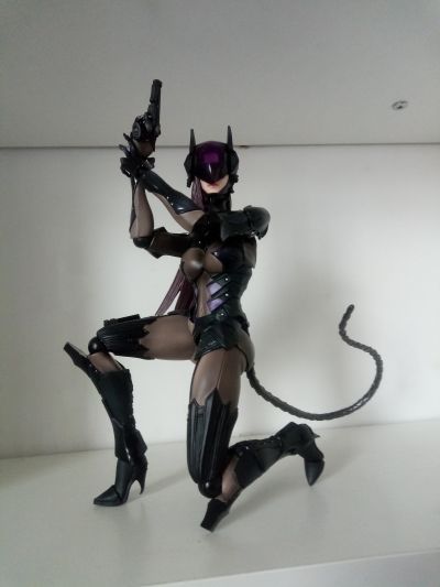 Playarts改 VARIVANT 猫女