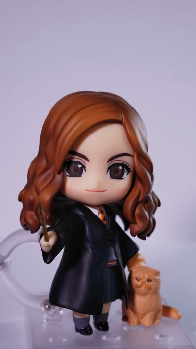 一番赏 航海王 匠之系谱 B奖 波特卡斯·D·艾斯