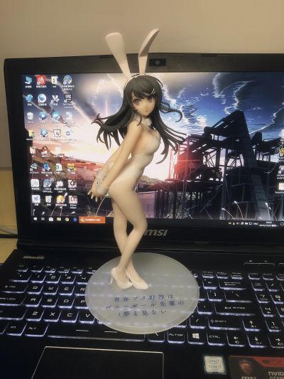 青春期笨蛋不做兔女郎学姐的梦 樱岛麻衣 白色兔女郎