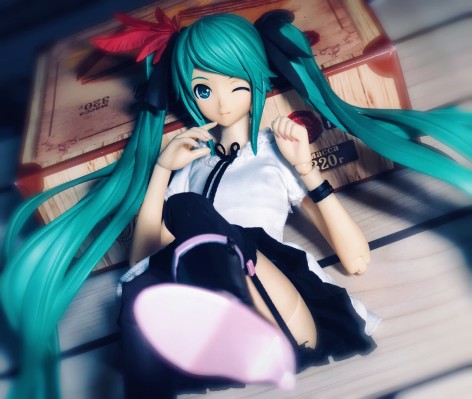 RAH 初音未来 -Project DIVA F- Honey Whip 「豪华ver.」