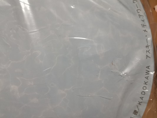 刀剑神域 结城明日奈 泳装