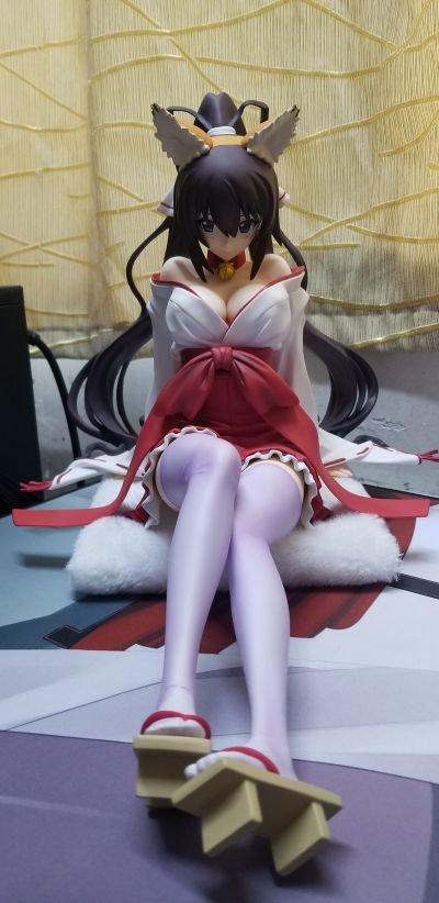 B-style IS〈无限斯特拉托斯〉 筱之之帚  狐巫女版