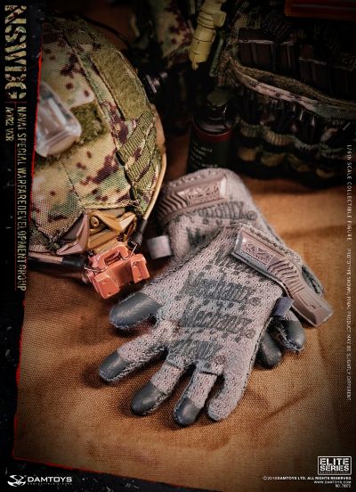 DAMTOYS 78072 1/6 美国海军特种作战发展大队NSWDG  -AOR2迷彩版本