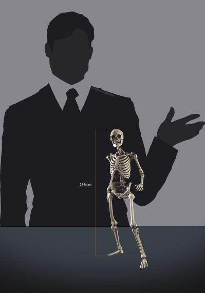 BS011 1/6 骷髅 高可动素体（全金属合金材质）