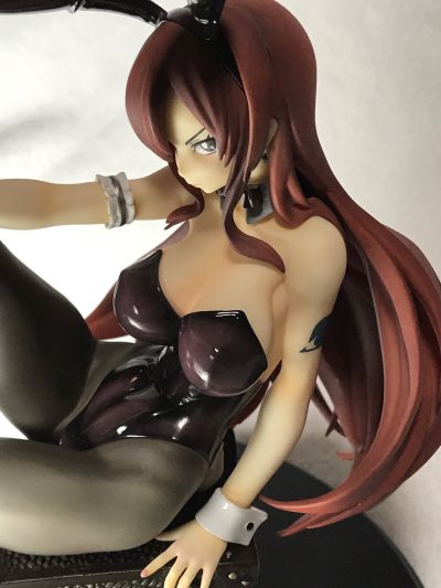 妖精的尾巴 艾露莎·史卡雷特 兔女郎