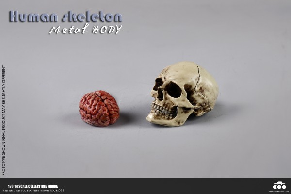 BS011 1/6 骷髅 高可动素体（全金属合金材质）