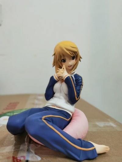 IS〈无限斯特拉托斯〉夏洛特・迪诺亚 运动装