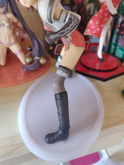 光明之风 猫