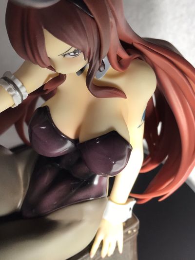 妖精的尾巴 艾露莎·史卡雷特 兔女郎