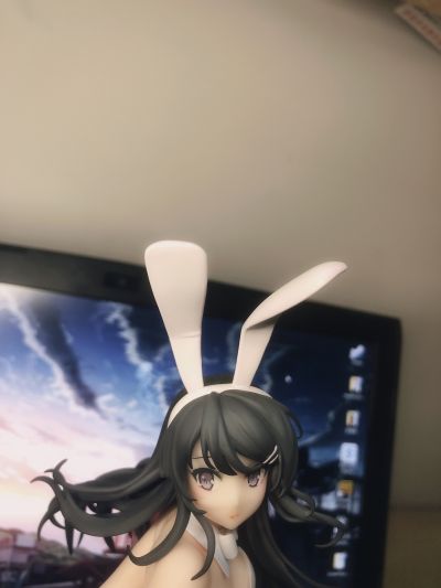 青春期笨蛋不做兔女郎学姐的梦 樱岛麻衣 白色兔女郎