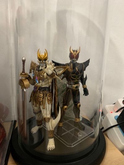 S.H.Figuarts(真骨雕制法) 恩·达古巴·灾巴