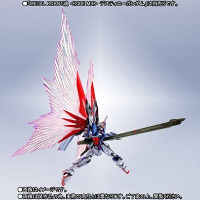 ROBOT魂 机动战士高达SEED DESTINY ZGMF-X42S命运高达 专用光翼＆特效件套装
