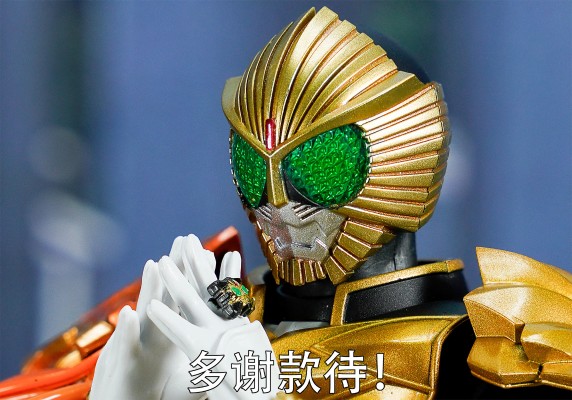 S.H.Figuarts(真骨雕制法)  假面骑士兽骑