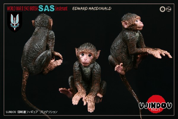 1/6 NO. U9002 第二次世界大战-英国皇家特种空勤团 爱德华麦当劳中尉 1942年