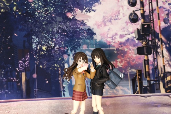 figma 偶像大师 灰姑娘女孩 渋谷凛 （汪达ーフェスティバル2013冬限定）