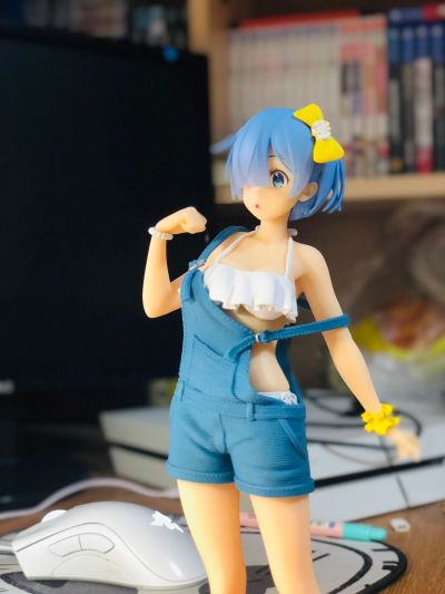 Re:从零开始的异世界生活 蕾姆 原创工衣泳装