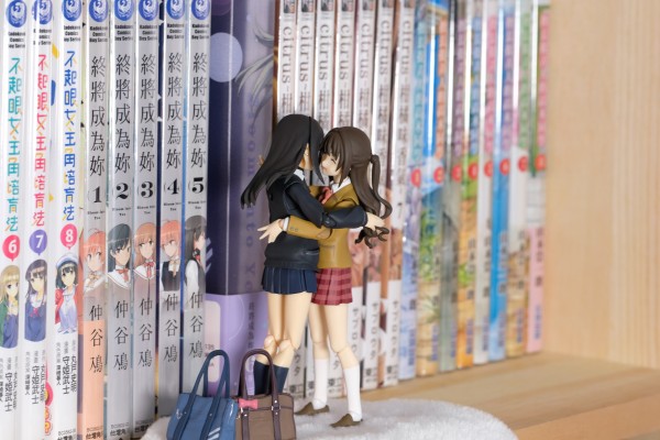 figma 偶像大师 灰姑娘女孩 渋谷凛 （汪达ーフェスティバル2013冬限定）