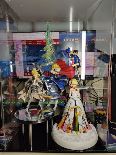 Fate/unlimited codes Saber・Lily