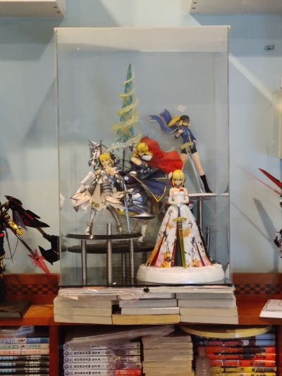 Fate/unlimited codes Saber・Lily