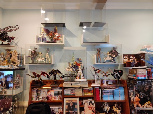 Fate/unlimited codes Saber・Lily