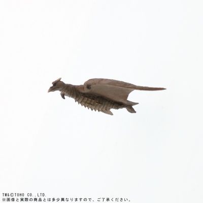 东宝大怪兽系列 拉顿（1956年版） 少年ric限定 再版