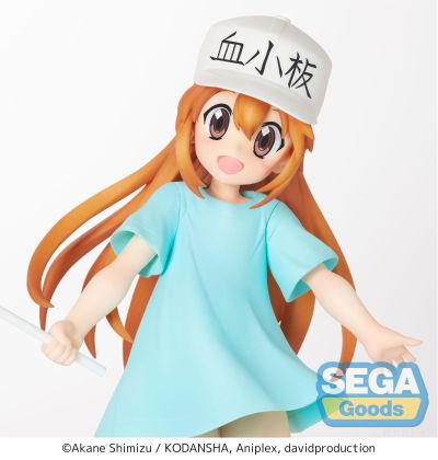 工作细胞 血小板 