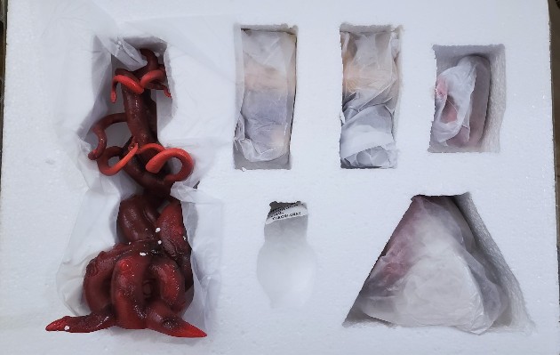 HENTAI系列 Vol.3 原创角色 产卵ver.