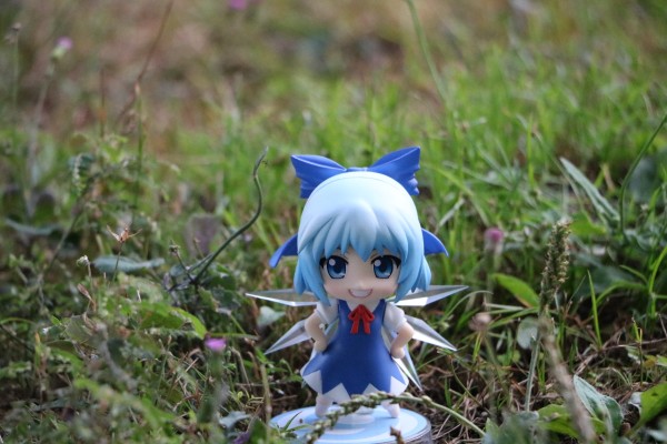 粘土人#547 Hello!!黄金拼图 爱丽丝