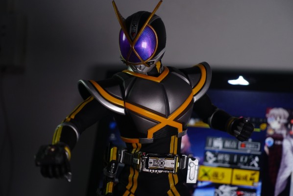 REAL ACTION HEROES-509 DX 假面骑士凯撒