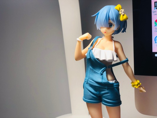 Re:从零开始的异世界生活 蕾姆 原创工衣泳装